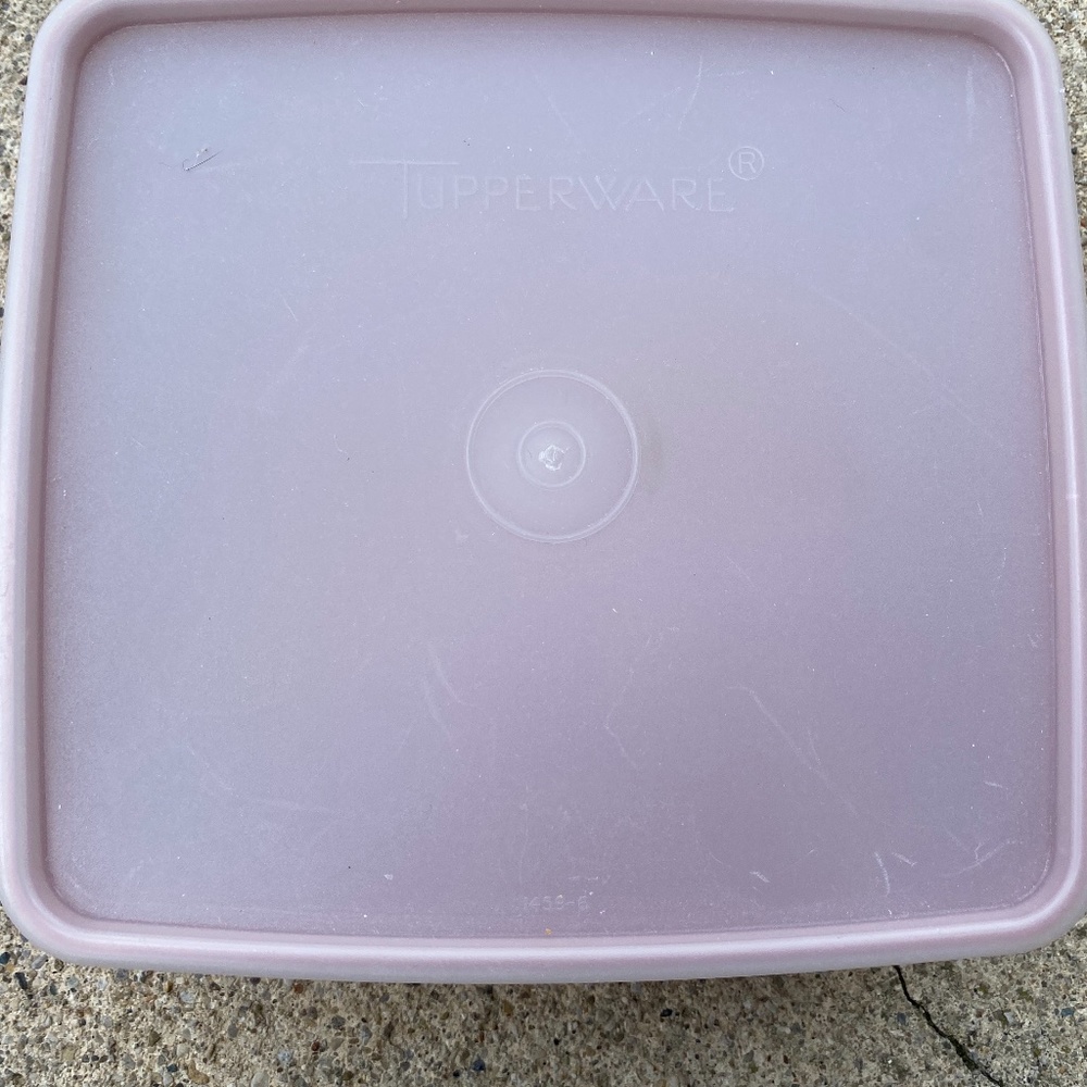 Vintage Tupperware Sandwich Keeper